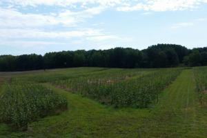 Braggin' Board Photo: Food Plots