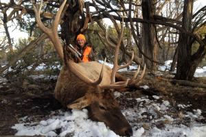 Braggin' Board Photo: Elk photo 121 2