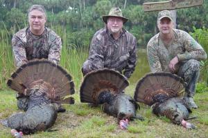 Braggin' Board Photo: Triple Osceola Turkeys