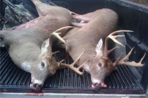 Braggin' Board Photo: Couple decent Missouri Bucks