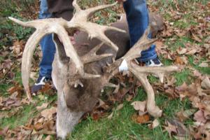 Braggin' Board Photo: JP Buck dbl drop tine 4