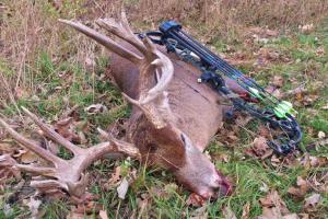 Braggin' Board Photo: 2014 Bow Season Buck