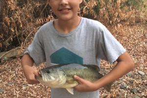 Braggin' Board Photo: 2.78 lb Bass!