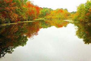 Braggin' Board Photo: Fall Trees on the Water in Connecticut