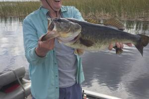 Braggin' Board Photo: A good day fishing for bass