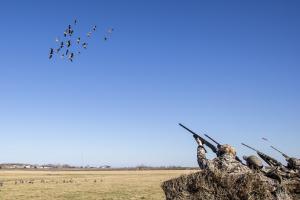 Braggin' Board Photo: Goose Hunting