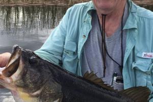 Braggin' Board Photo: Al's BIG Bass