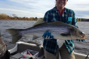 Braggin' Board Photo: Striper Bass Fishing