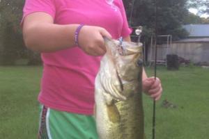 Braggin' Board Photo: Nice largemouth bass