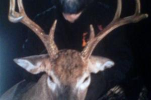 Braggin' Board Photo: New Jersey Deer