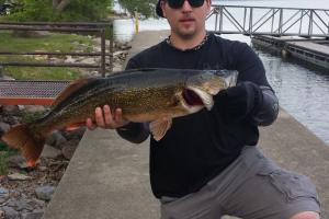 Braggin' Board Photo: Nice Walleye, Lucas D.P.