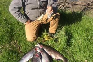 Braggin' Board Photo: Nice Rainbow Trout