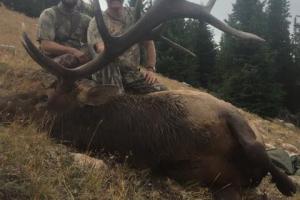 Braggin' Board Photo: Harvested Elk Bull 2016