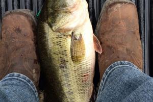 Braggin' Board Photo: Terrell, Texas Bass