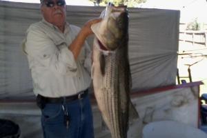 Braggin' Board Photo: Victor's Stripe Bass