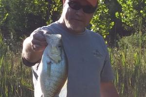 Braggin' Board Photo: Big Crappie