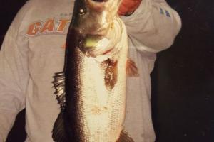 Braggin' Board Photo: Night Fishing