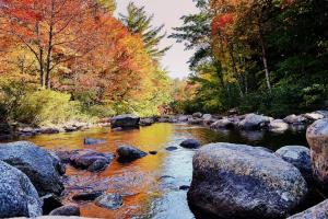 Braggin' Board Photo: New Hampshire fall foliage