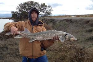 Braggin' Board Photo: Sturgeon Fishing