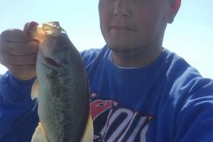 Braggin' Board Photo: Bass caught on Onondaga Lake