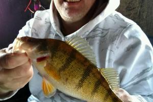 Braggin' Board Photo: Ice Fishing Perch