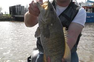 Braggin' Board Photo: Nice Lake Superior Small Mouth