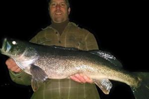 Braggin' Board Photo: Matt L,    Walleye Fishing