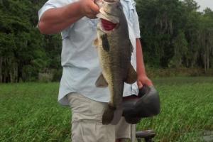 Braggin' Board Photo: Perfect Day of Fishing