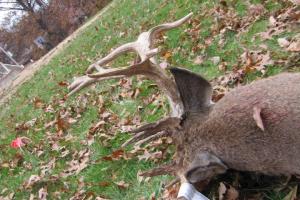 Braggin' Board Photo: My dbl drop tine buck