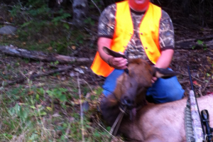 Braggin' Board Photo: Hunting Elk in Ontario