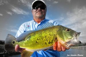 Braggin' Board Photo: Moser2013hero Peacock Bass