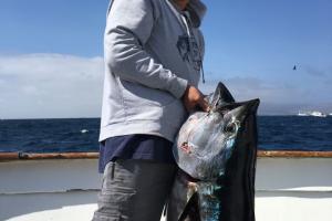 Braggin' Board Photo: Tuna Fishing