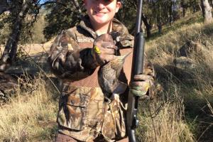 Braggin' Board Photo: Quail Hunting