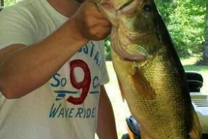 Braggin' Board Photo: A Sweet Bass Fishing trip