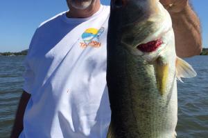 Braggin' Board Photo: Largemouth bass 6 lb