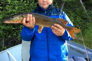 Braggin' Board Photo: Fishing Pike at Red Lake Ontario