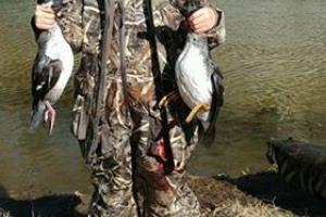 Braggin' Board Photo: Young Duck Hunter