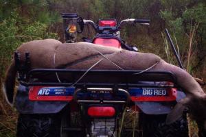 Braggin' Board Photo: Deer harvest Arkansas