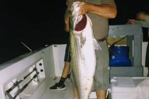 Braggin' Board Photo: 51 lb Striper