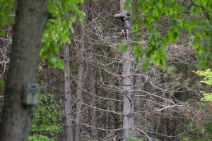 Braggin' Board Photo: My Treestand