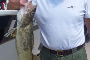 Braggin' Board Photo: John's walleye