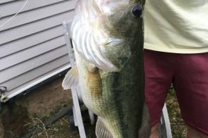 Braggin' Board Photo: Largemouth Bass