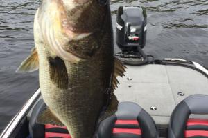 Braggin' Board Photo: Nice Bass in my Nitro