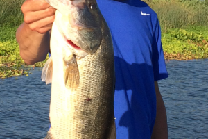 Braggin' Board Photo: Largemouth fishing