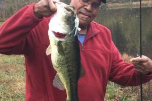 Braggin' Board Photo: FALL "Hawg" 9.5 lb