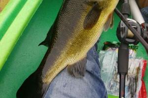 Braggin' Board Photo: Kayak Fishing