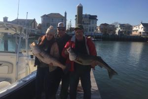 Braggin' Board Photo: Early December Striper Bass fishing trip!!