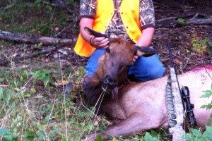 Braggin' Board Photo: Ontario Elk
