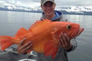 Braggin' Board Photo: Red Snapper