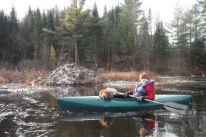 Braggin' Board Photo: 10 Year old Caden-Trapping by Kayak